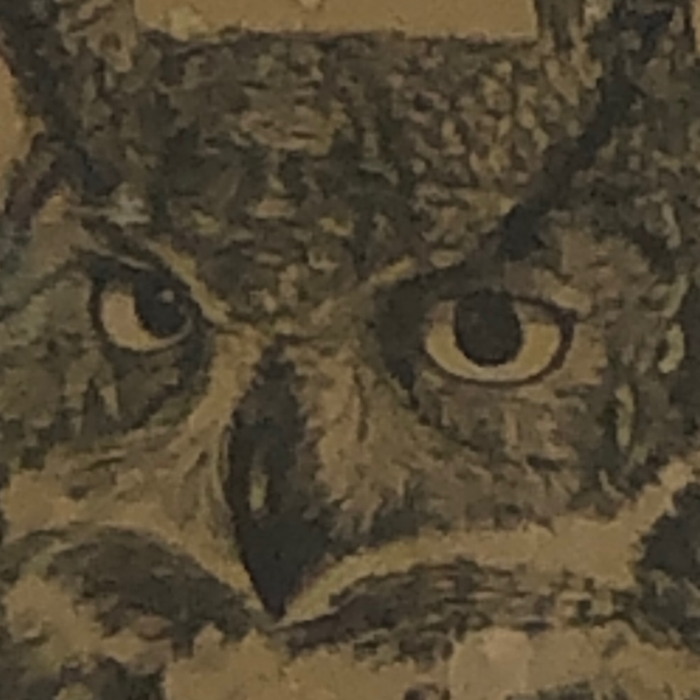 Meet your Posher, Nic